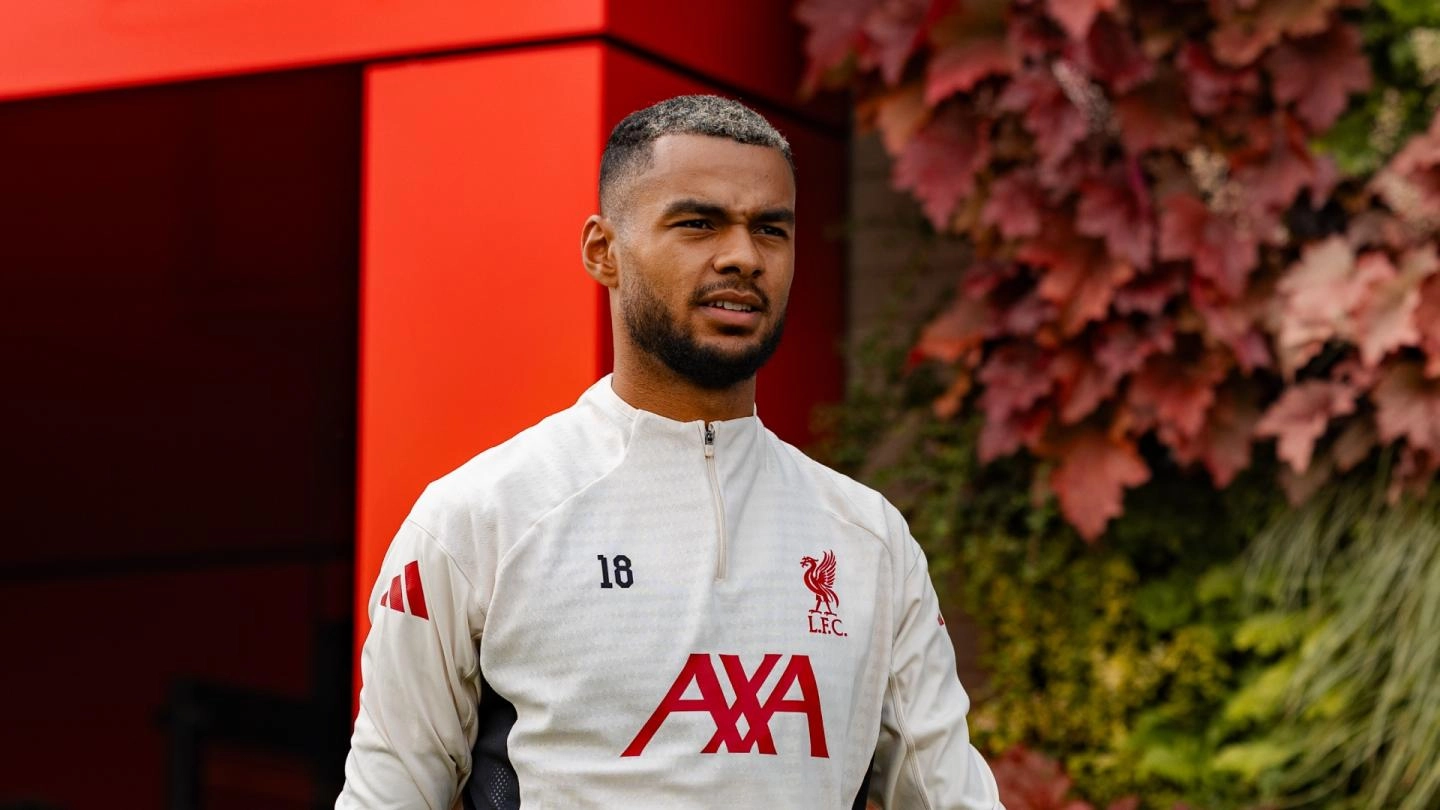 Cody Gakpo: We want to show the world we are here again Cody Gakpo: We want to show the world we are here again