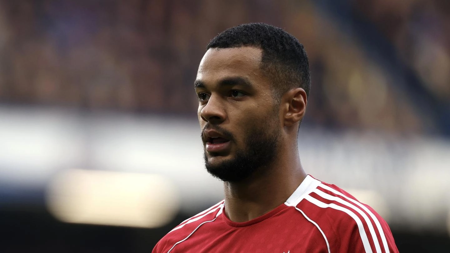 Cody Gakpo: It's hard to take but we know not good enough Cody Gakpo: It's hard to take but we know not good enough