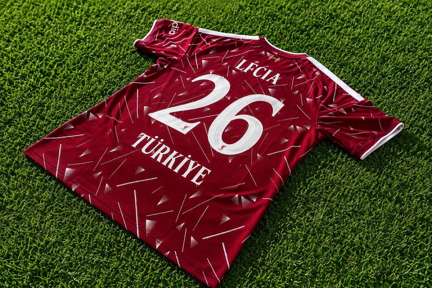 LFC IA Türkiye