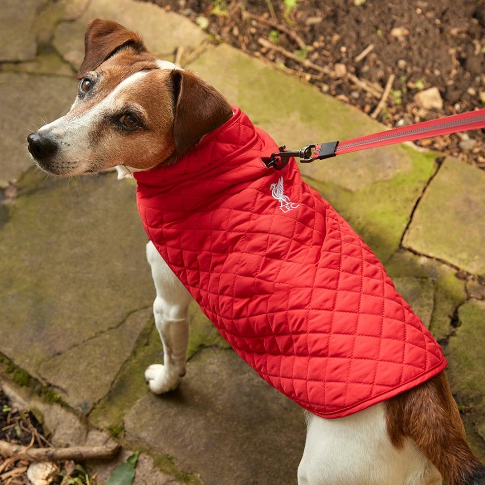 Liverpool fc dog sales coat