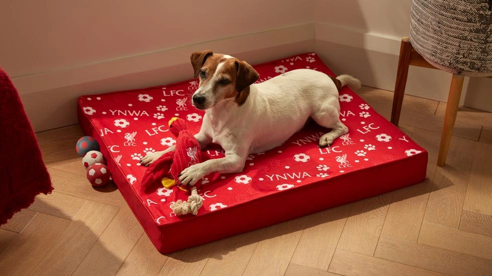 Out now: The new Liverpool FC pet range
