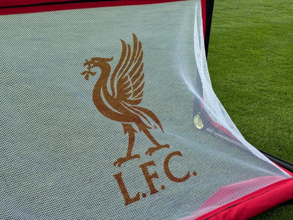 LFC IA Mini Goal net