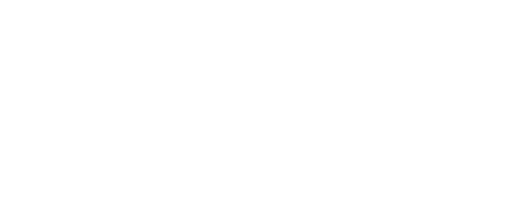 LFC Foundation logo