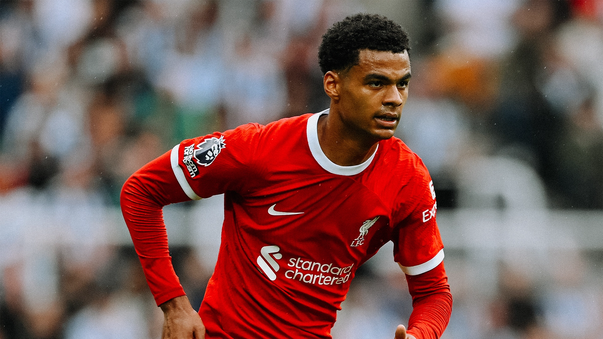 Cody Gakpo - Liverpool
