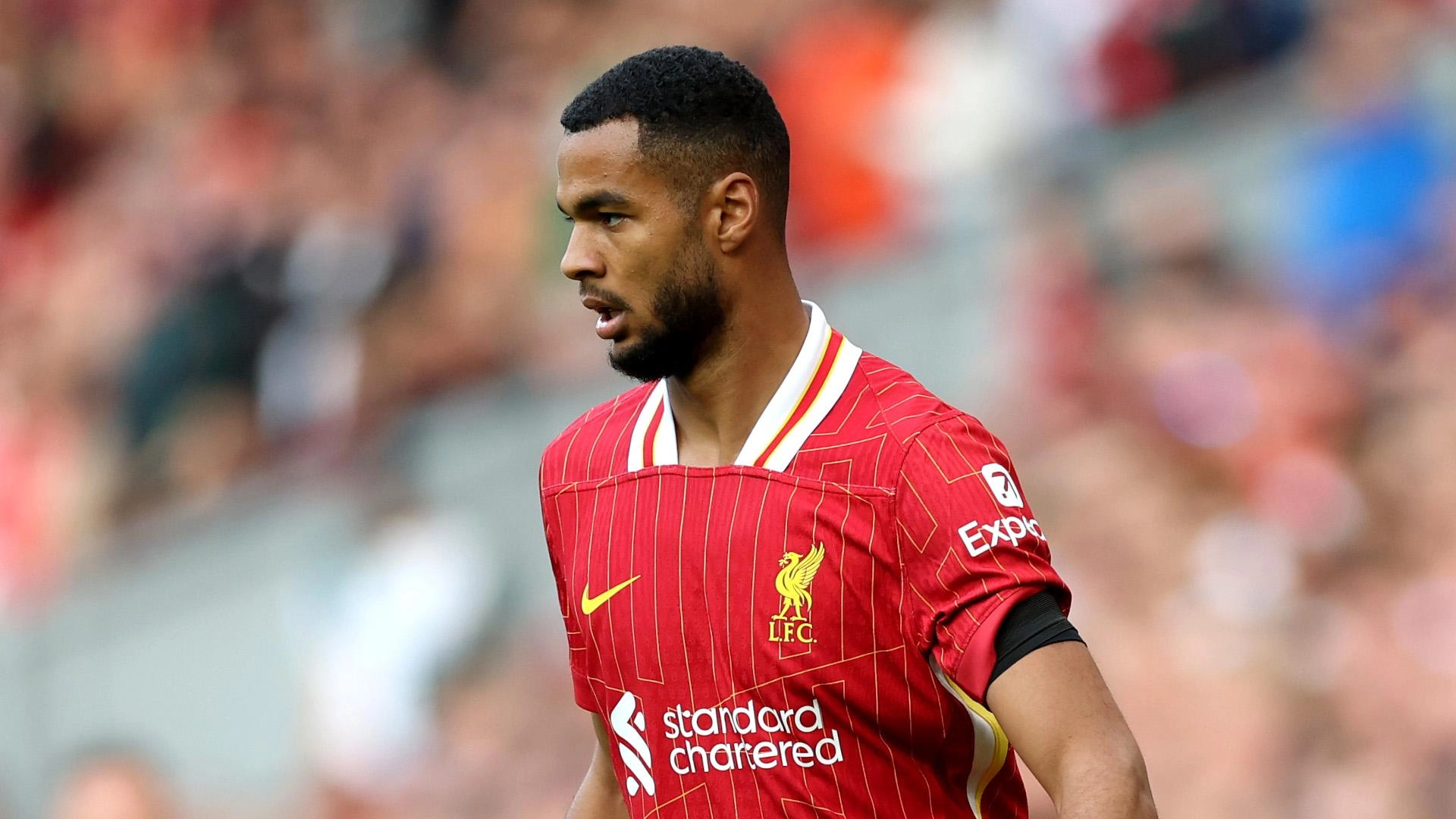 cody-gakpo-170924.webp?itok=