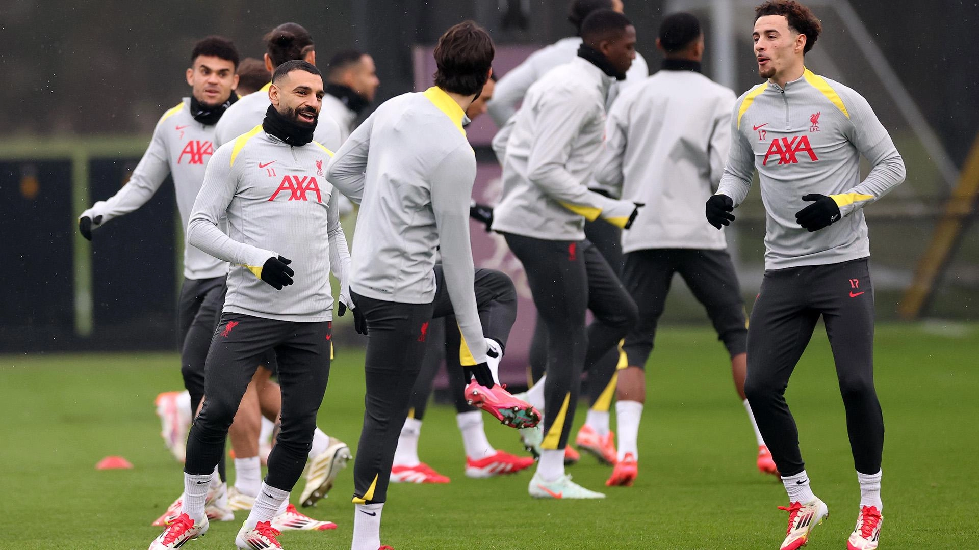 live-training-update-
